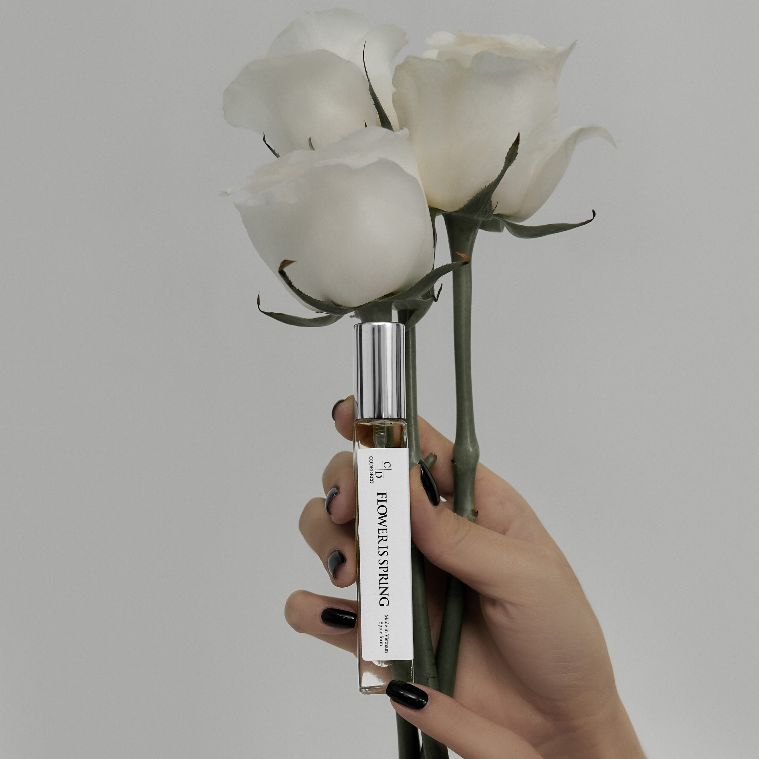 FLOWER IS SPRING (2)